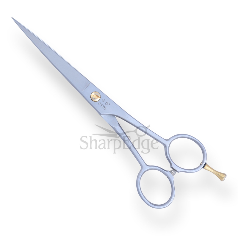 Professional Hair Dressing Scissors 